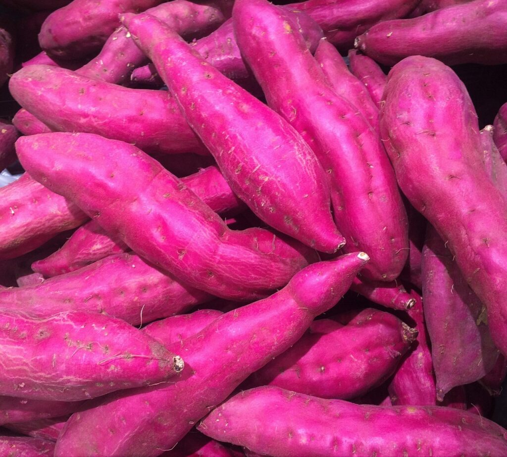 makanan sehat alami sweet potato, red-purple, vegetable, seiyu, ribin, supermarket, fruits and vegetables, sales floor, heiseicho, yokosuka, japan, sweet potato, sweet potato, sweet potato, sweet potato, sweet potato